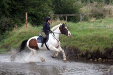 Ireland-Offaly-Offaly Equestrian Center